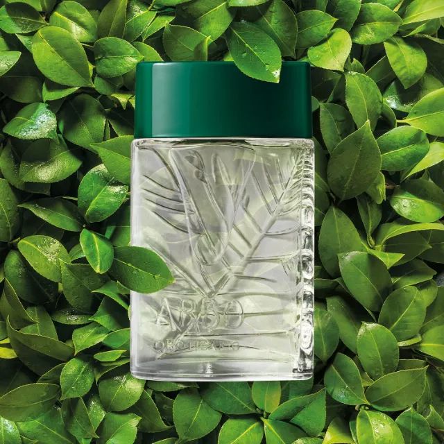 Perfume Arbo O Boticário 100ml Tradicional - Foto 5