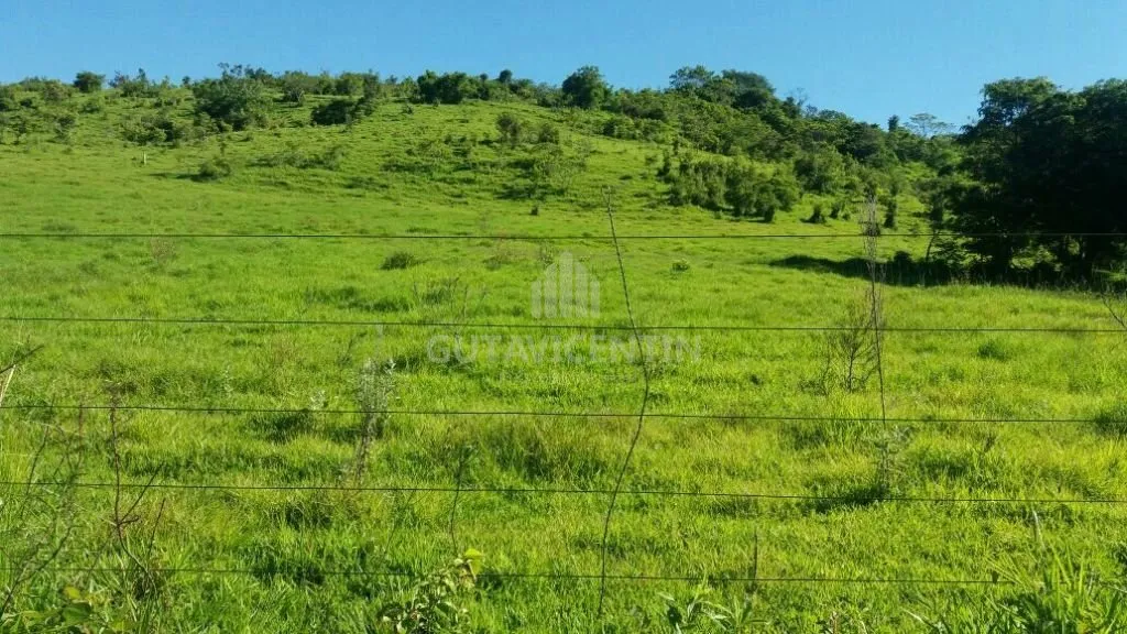 Fazenda 72 alqueires - Guarantã SP