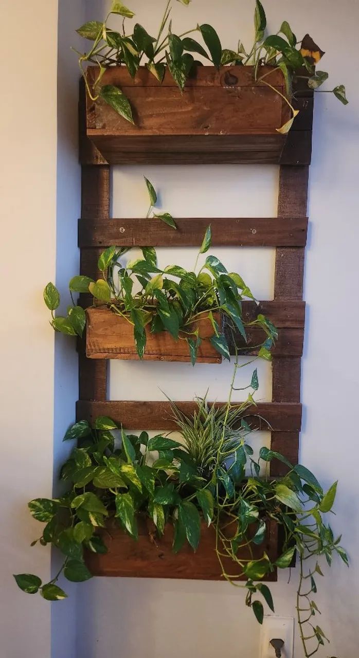 Jardim vertical em madeira de palete com plantas - Jardinagem e Plantas ...