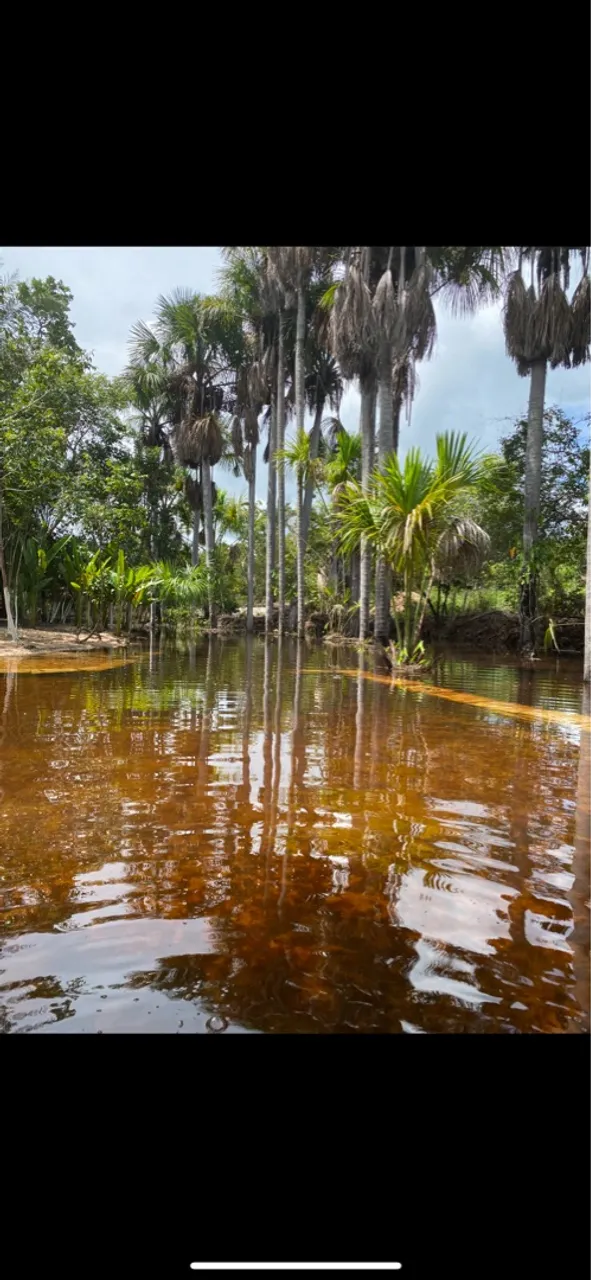 VENDE-SE ESTE LINDO SITIO COM PISCINA NATURAL
