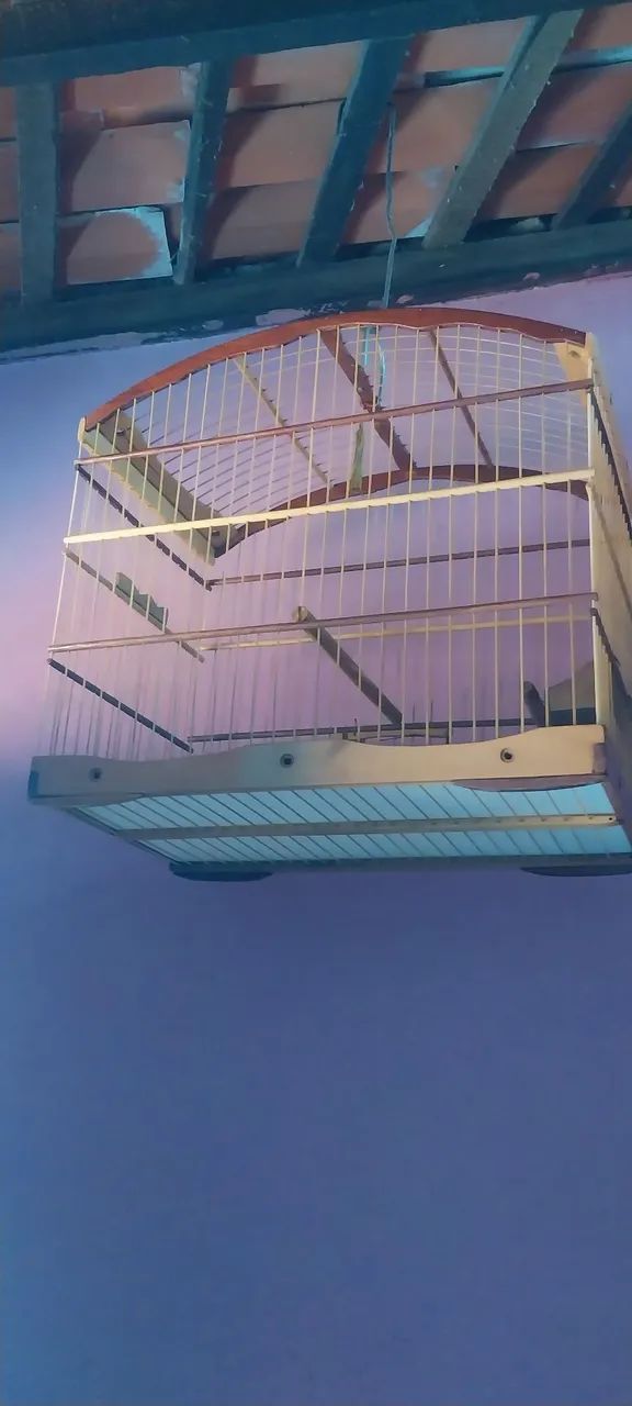 Gaiola para Pássaros trinca ferro ou azul  - Foto 2