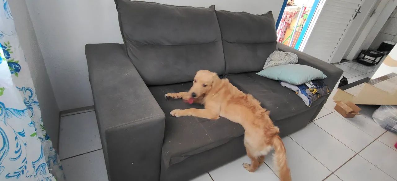 Sofá (me livrando) - Foto 3