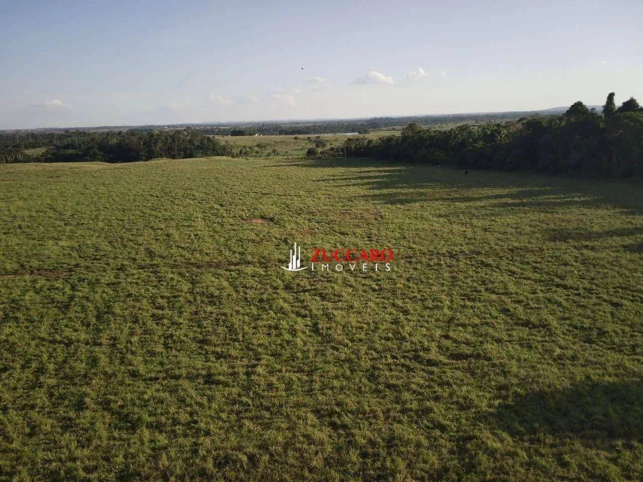 Fazenda com 5 dormitórios à venda, 5577619 m² por R$ 34.000.000,00 - Fazenda Luana - Campo