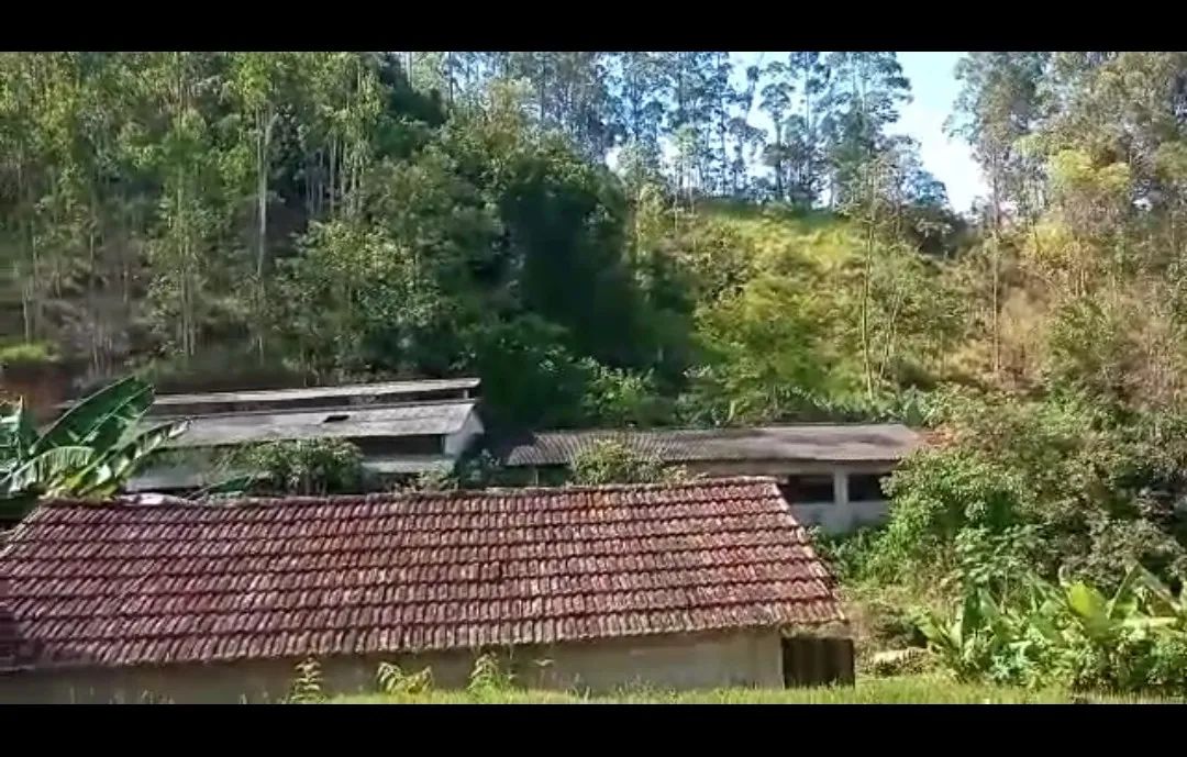 VENDO / TROCO FAZENDA DE 100 HECTARES EM NATIVIDADE DA SERRA ( 4289 ) - Foto 5
