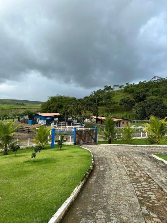 Fazenda À Venda em Atalaia! Leia a Descrição! - Foto 4