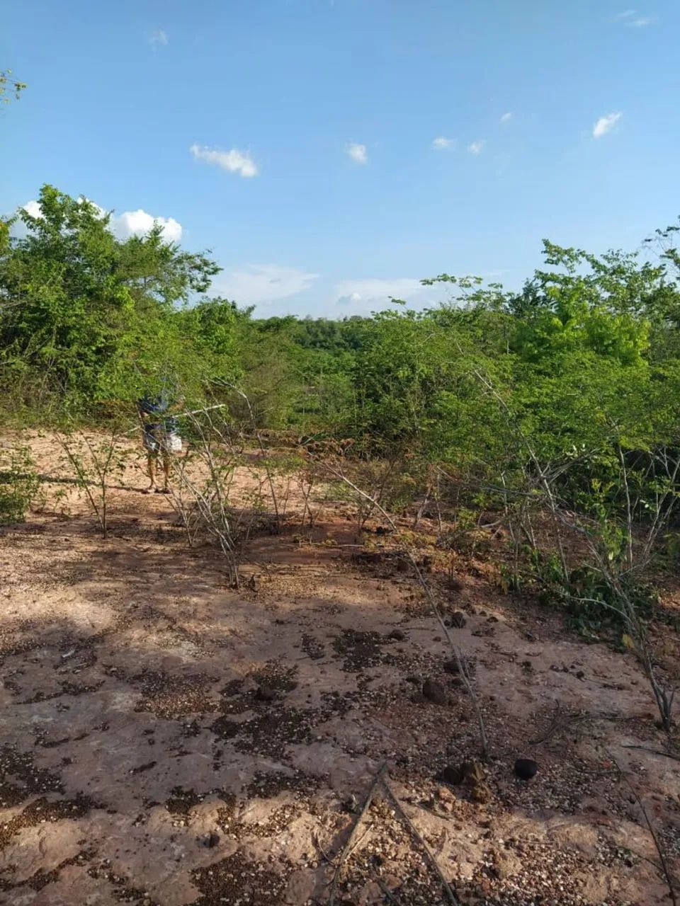 Foto - Teresina - Gurupi