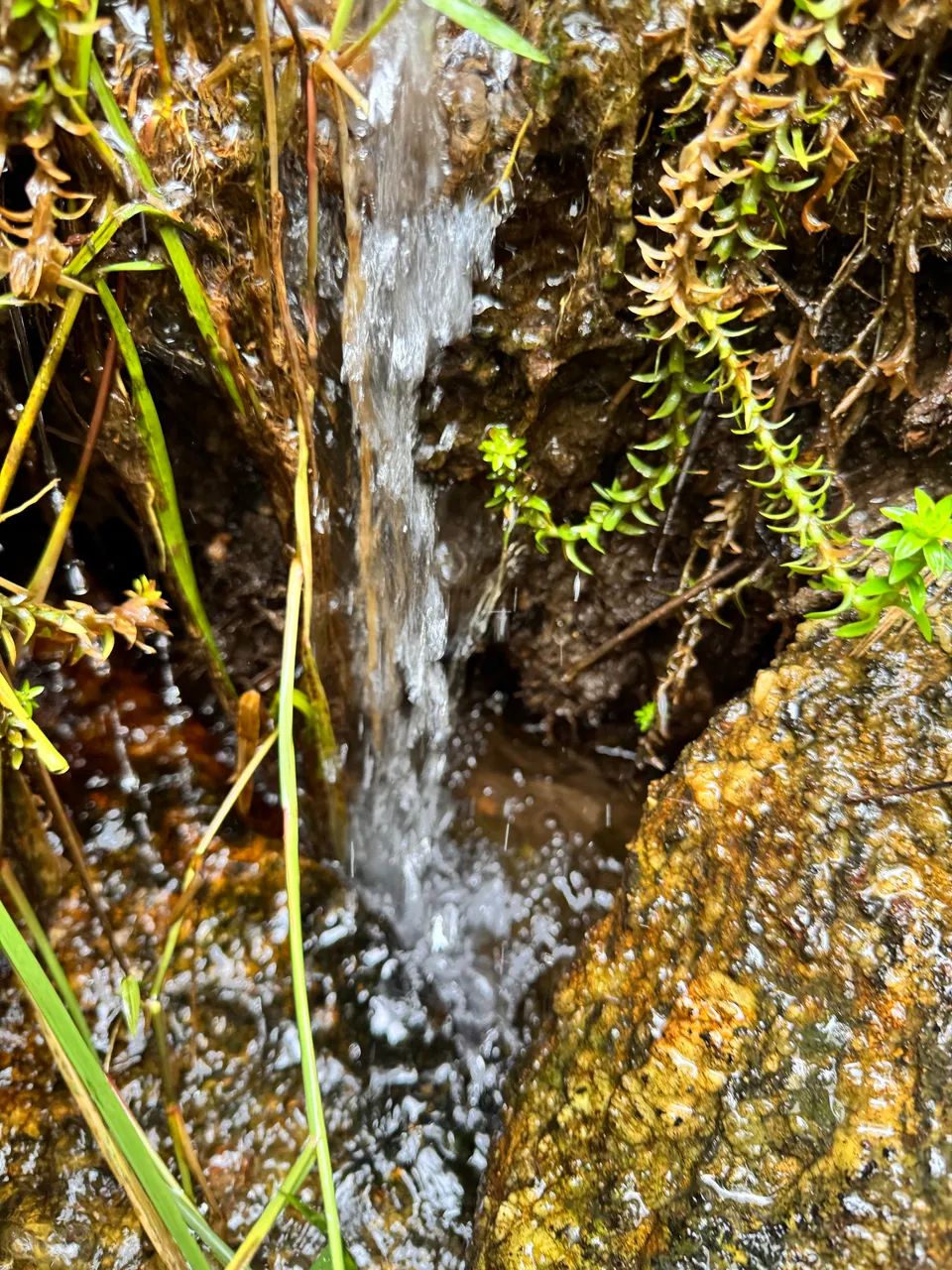 Foto - Vitória - Enseada do Suá