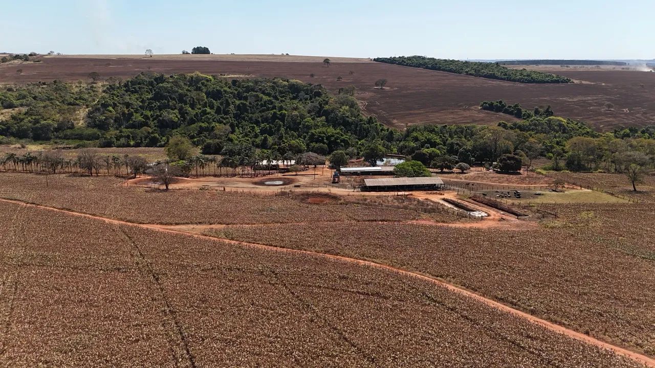 Fazenda px Anápolis  - Foto 2