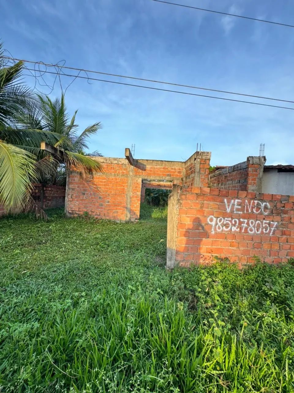 Raposa rua da vitória  - Foto 3