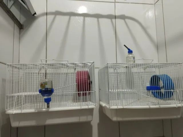 GAIOLAS PARA HAMSTERS