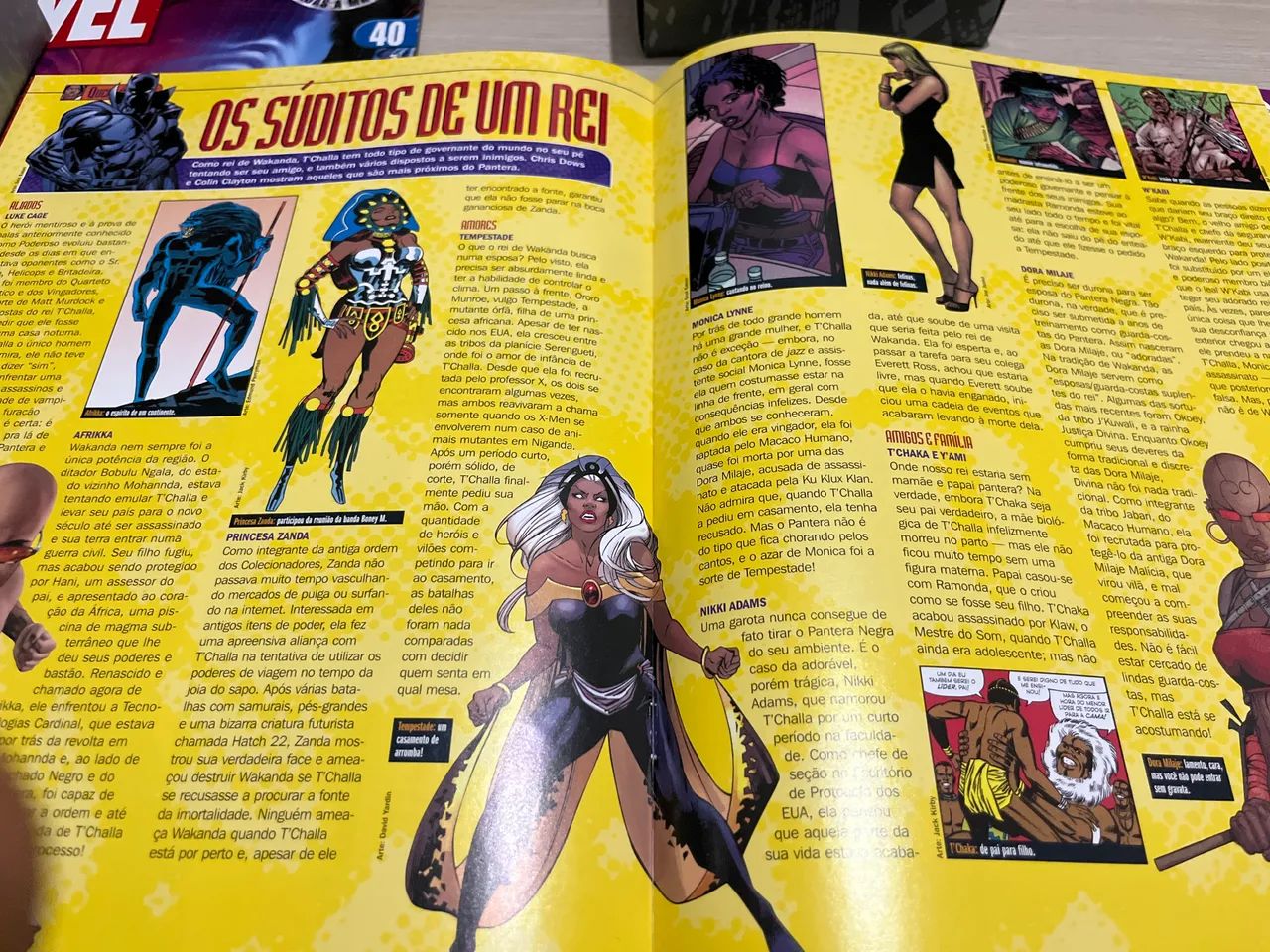 Pantera Negra - Figura Colecionável - Foto 5