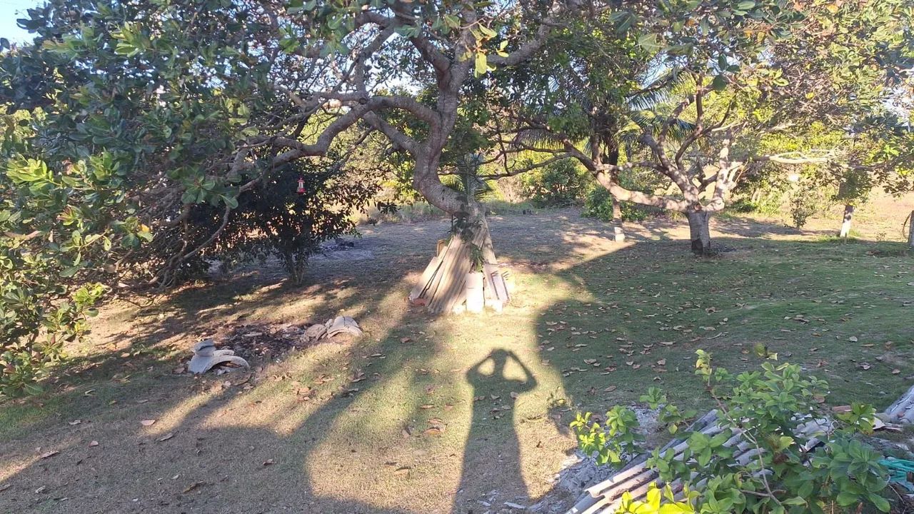 Sitio  - Foto 5
