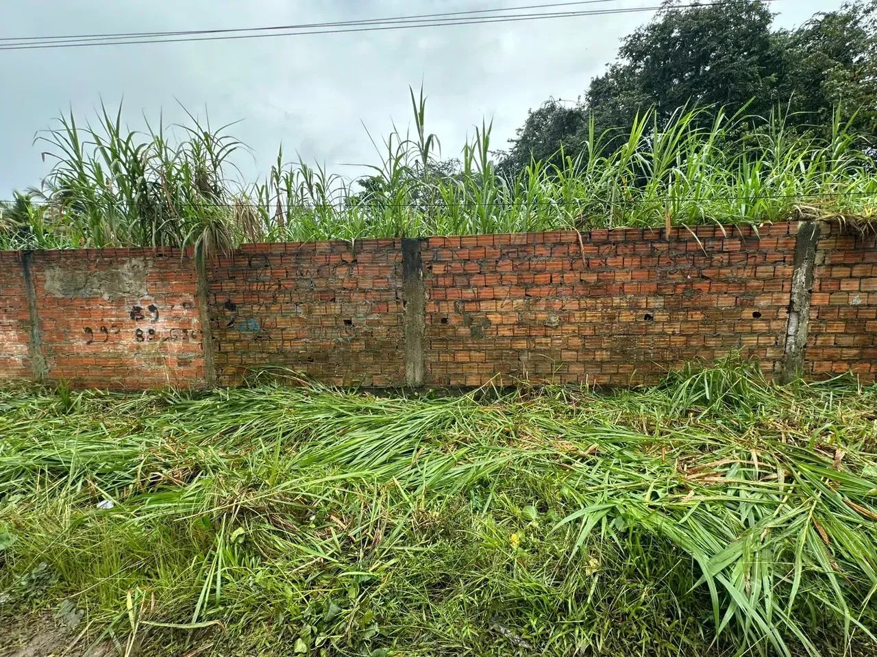 TERRENO COM 5 MIL METROS NO TAPANA. - Foto 4