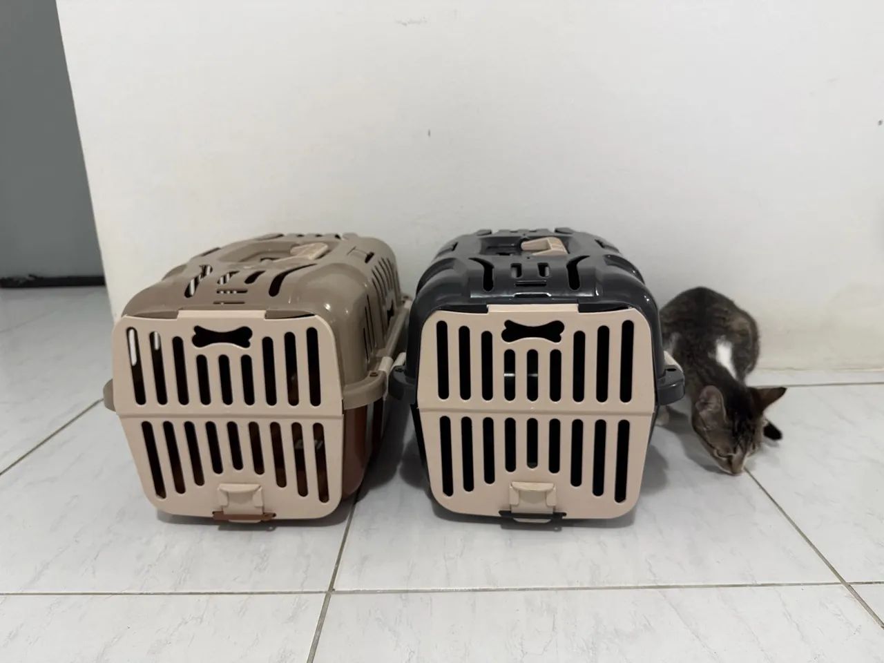 Caixas de transporte pet - Foto 2