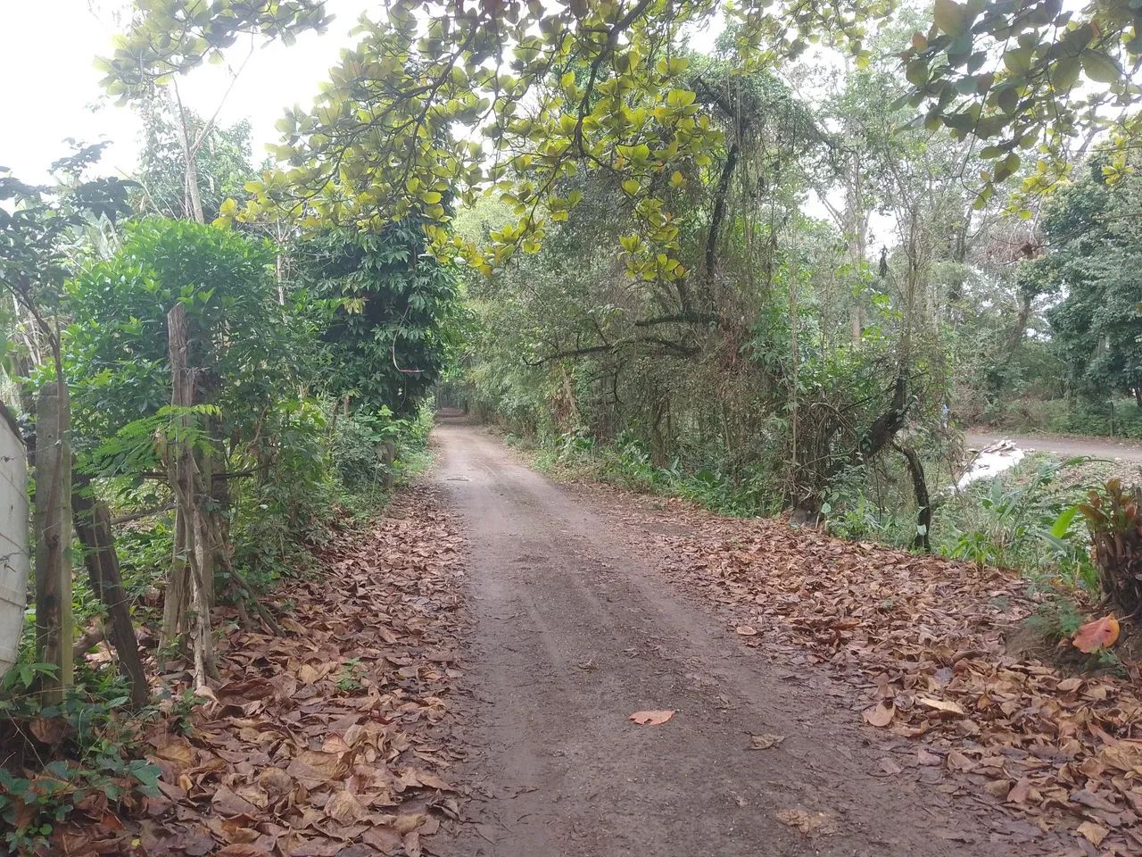Vendo sítio Itaguaí rj - Foto 4