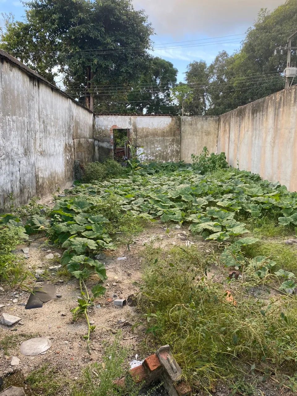 Foto - São Cristóvão - 