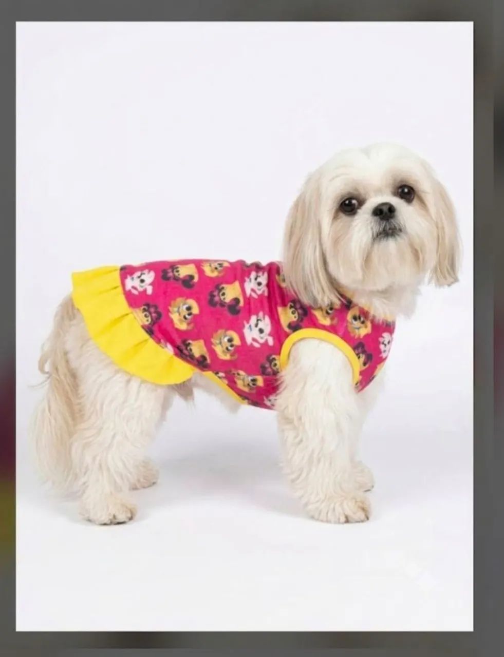 Roupas para Cães e gatos  - Foto 5