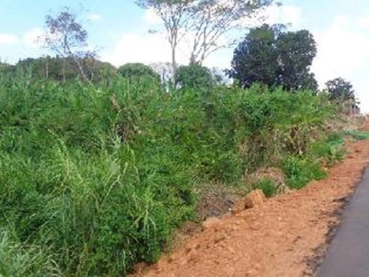 Terreno 600 m² - Centro - Sítio Novo - MA - Foto 4