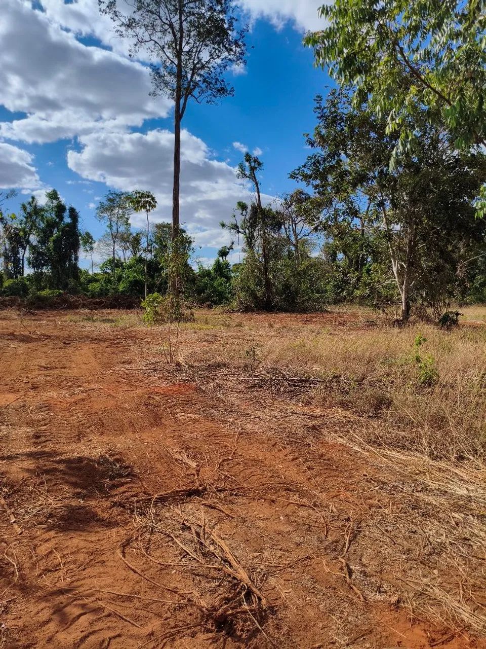 Chácara em Nerópolis 22.000 M2  