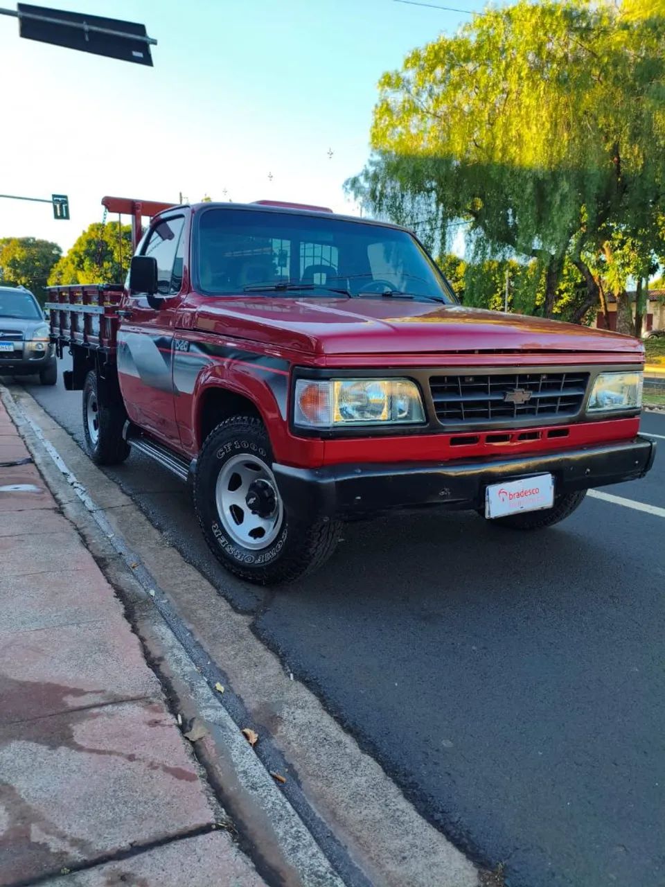 Chevrolet D-20 1993