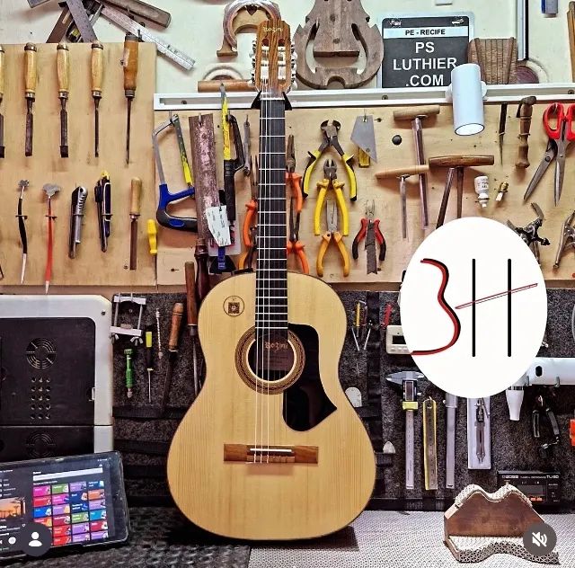 Rozini RX210 Fishman Regulado por Luthier e com case