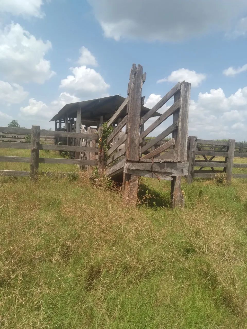 Fazenda - Foto 2