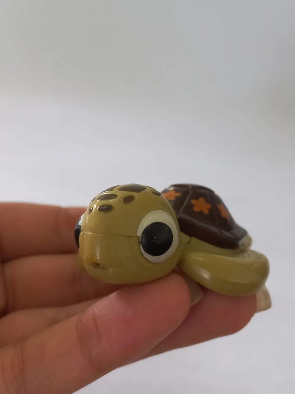 tartaruga squirt procurando nemo