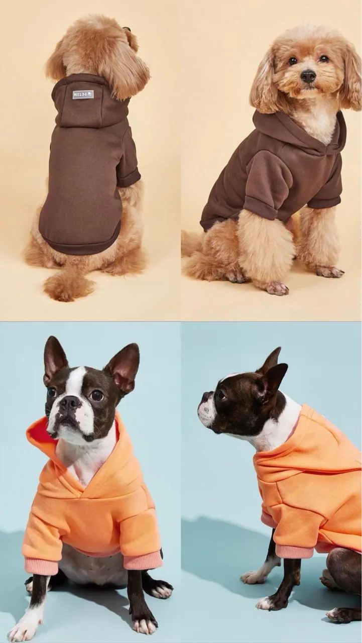 Promoção  - Foto 2