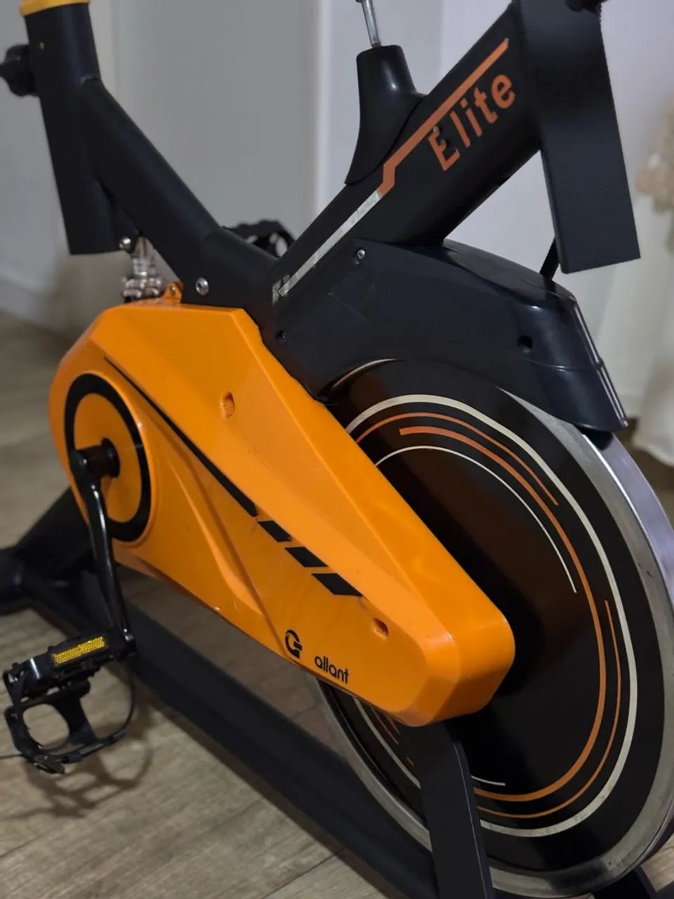 Bicicleta ergométrica 
