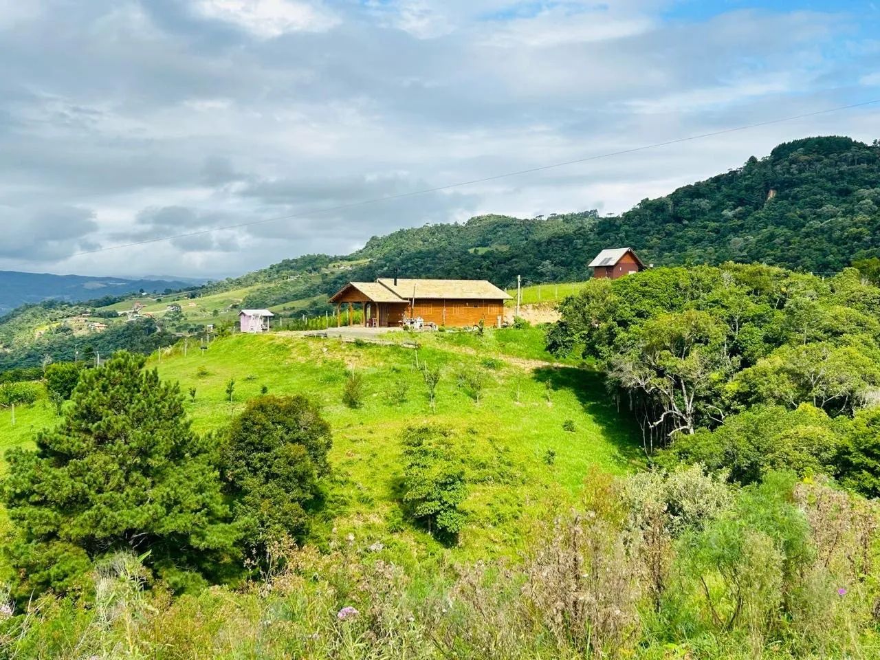 Foto - Palhoça - Madri