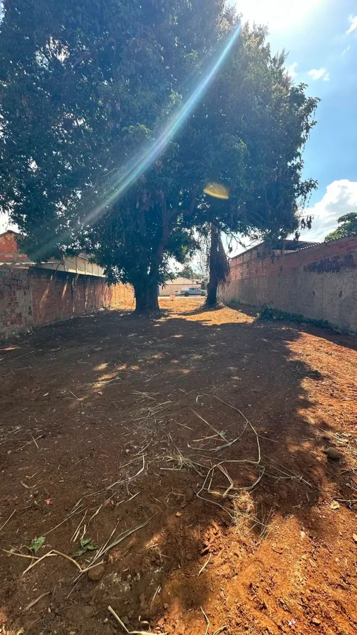Lote Grande à Venda - Foto 3