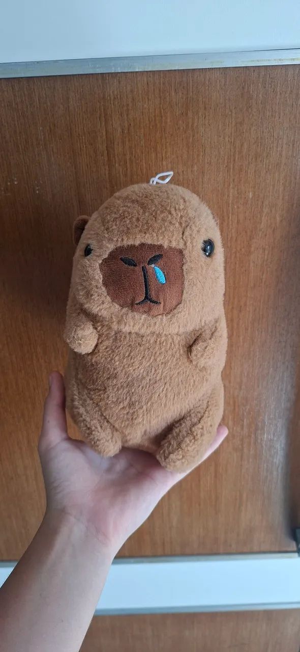 Pelúcia de Capivara