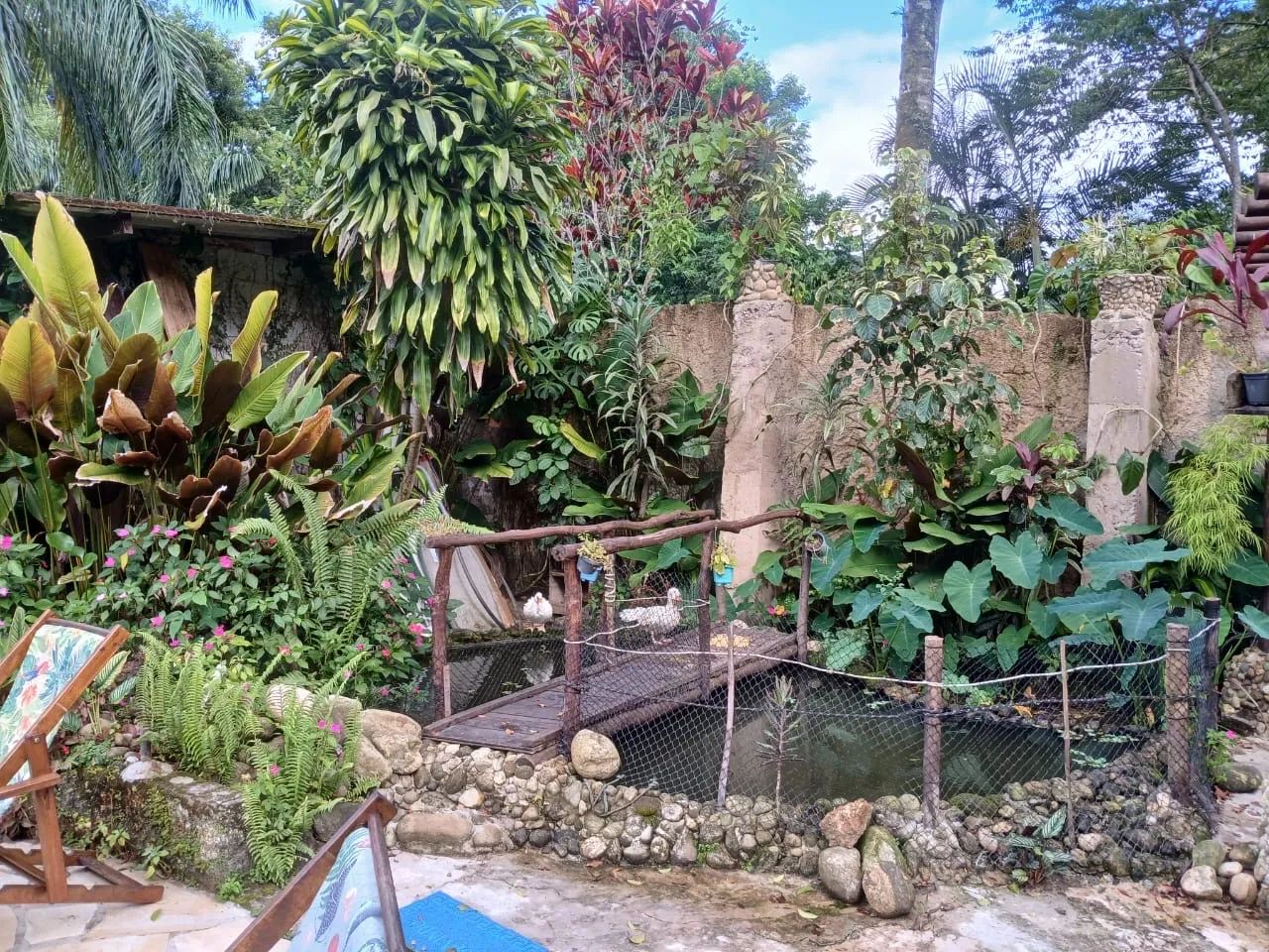 Casa com piscina para o carnaval  - Foto 7