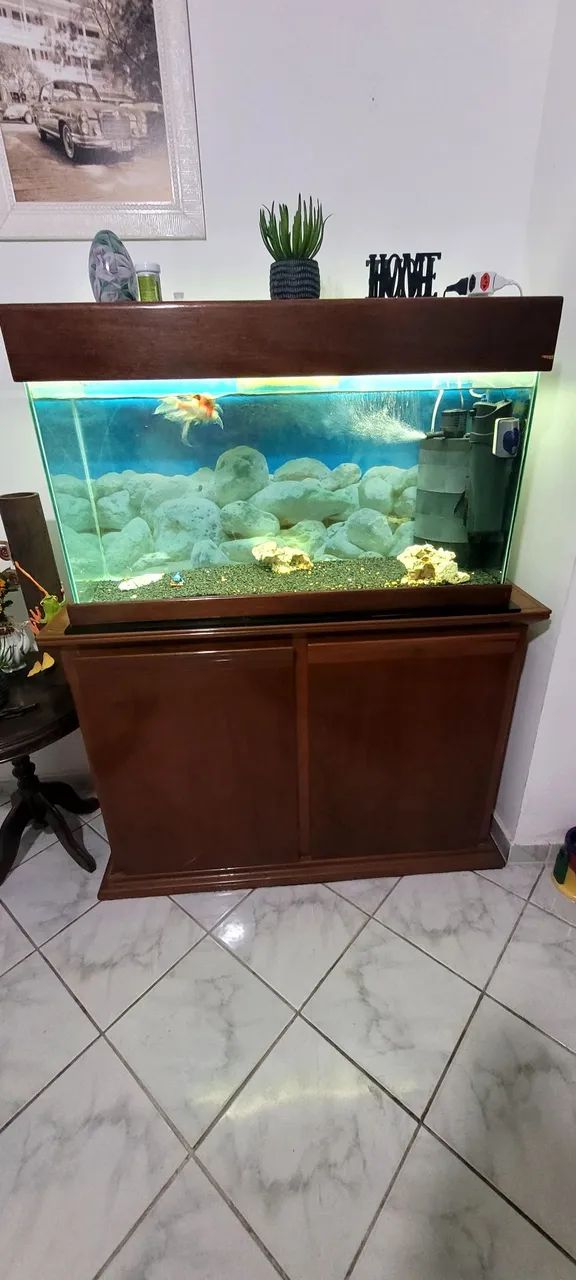 Aquário completo  - Foto 5