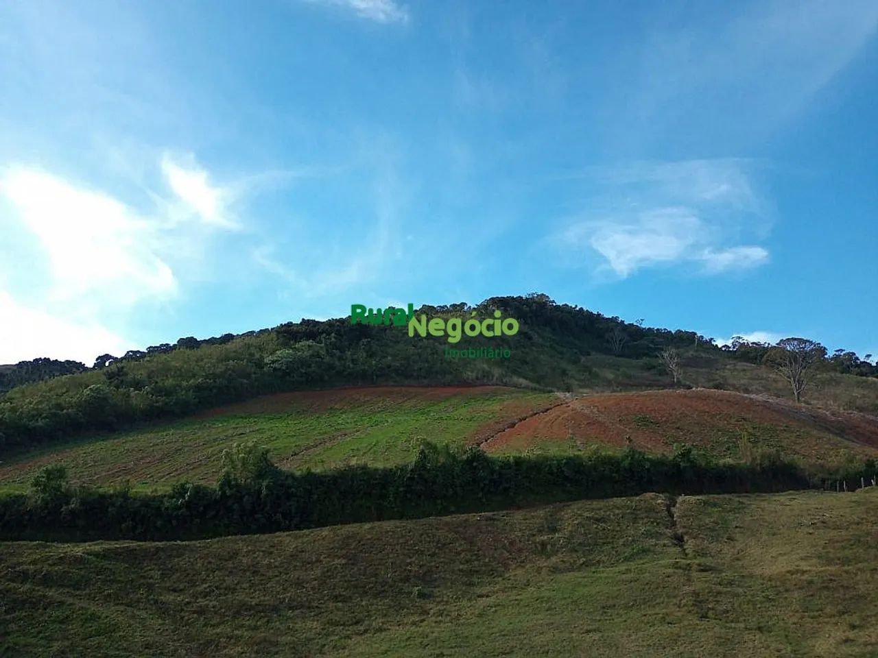 SÍTIO SEM BENFEITORIAS EM MARIA DA FÉ-MG - Foto 3