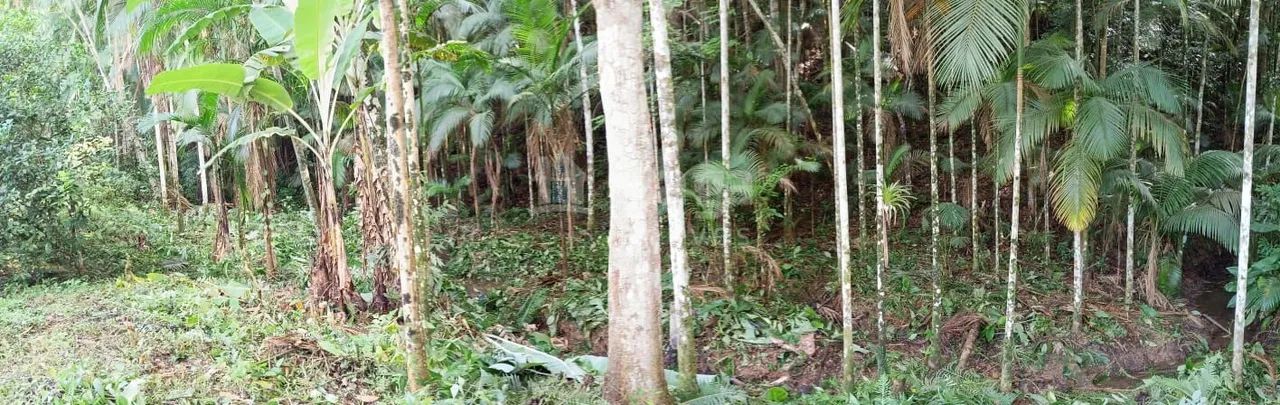 Terreno à venda em São João Batista/SC - Foto 4