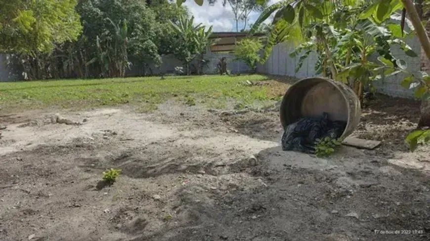 terreno murado em aldeia - Foto 2