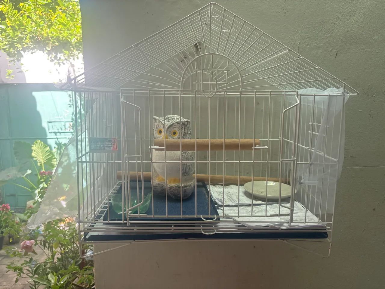 Gaiola 