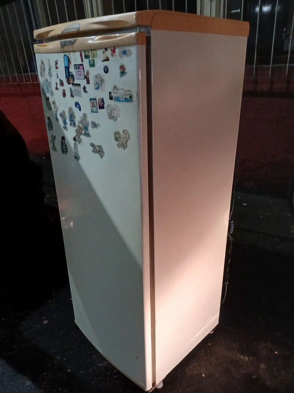 Geladeira Electrolux 310lt - Foto 5