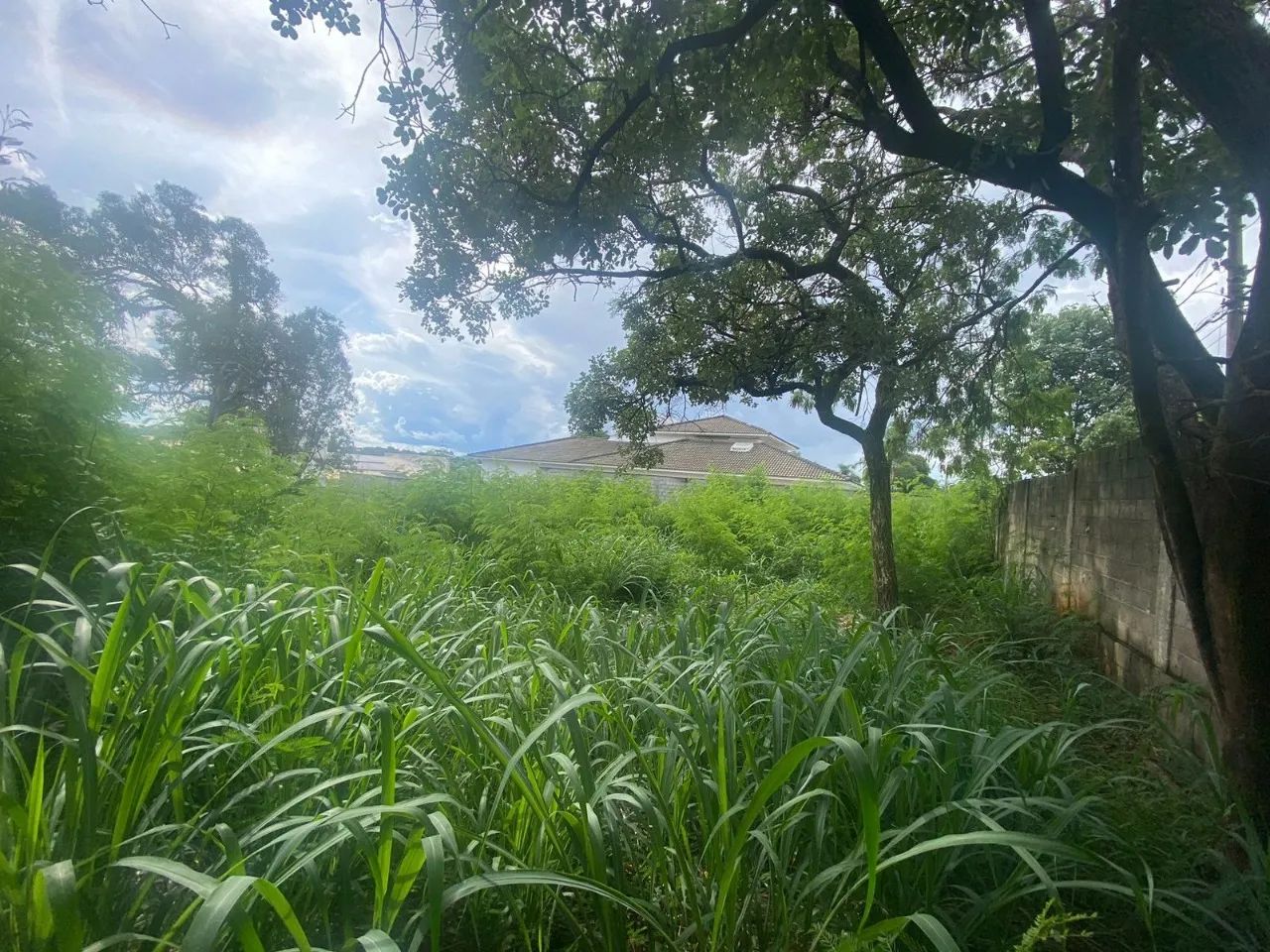 LOTE NO BAIRRO BANDEIRANTES - Foto 4