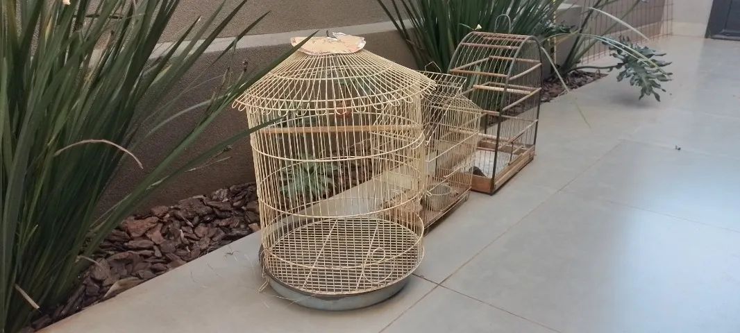 Gaiolas de pássaros em perfeito estado  - Foto 2