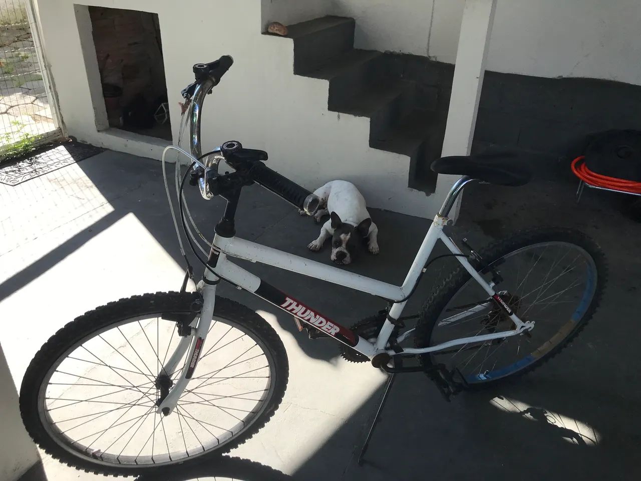 Bicicleta Thunder  - Foto 2