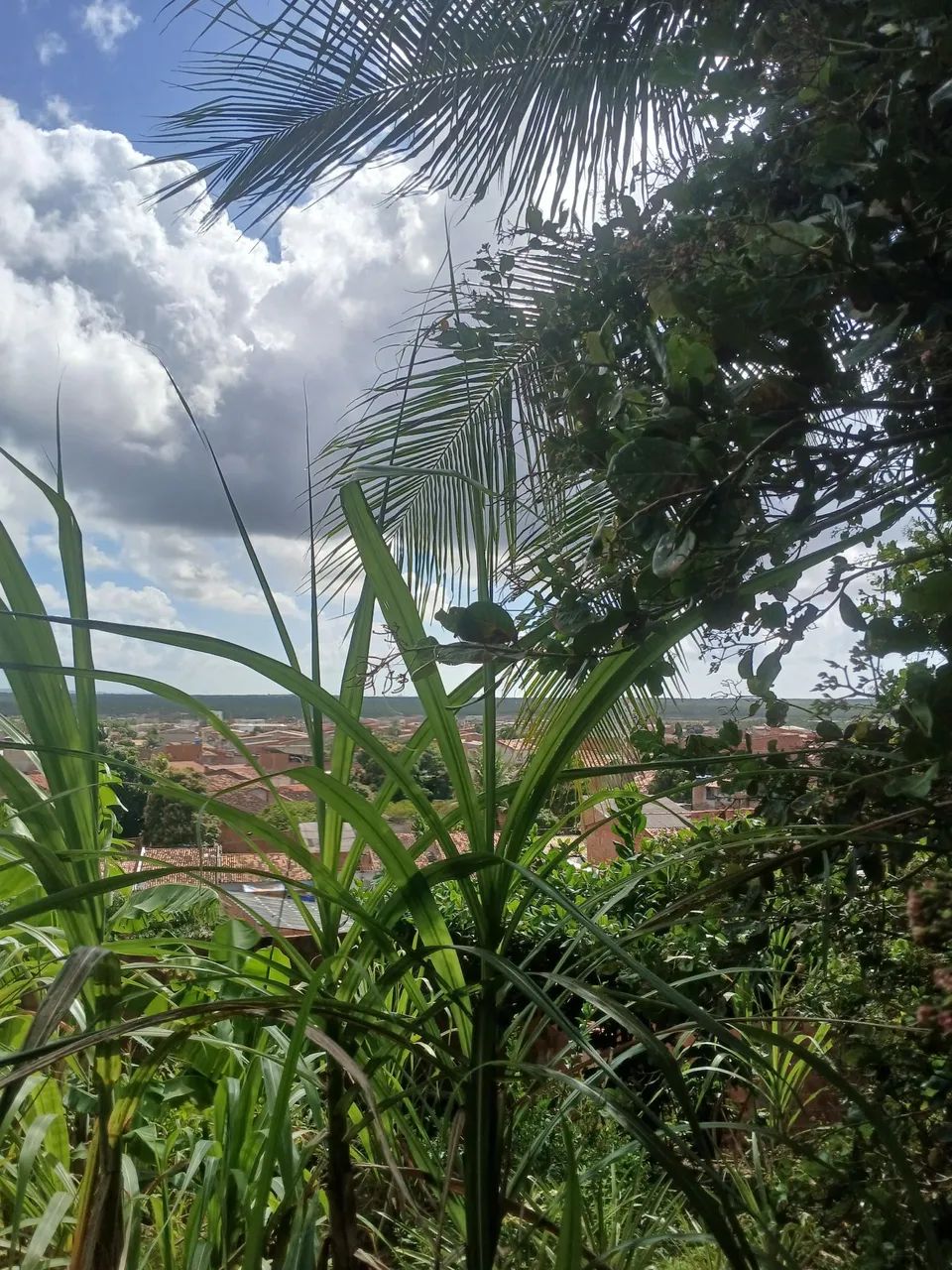 Sítio com 2 casinha pra o seu conforto  - Foto 5