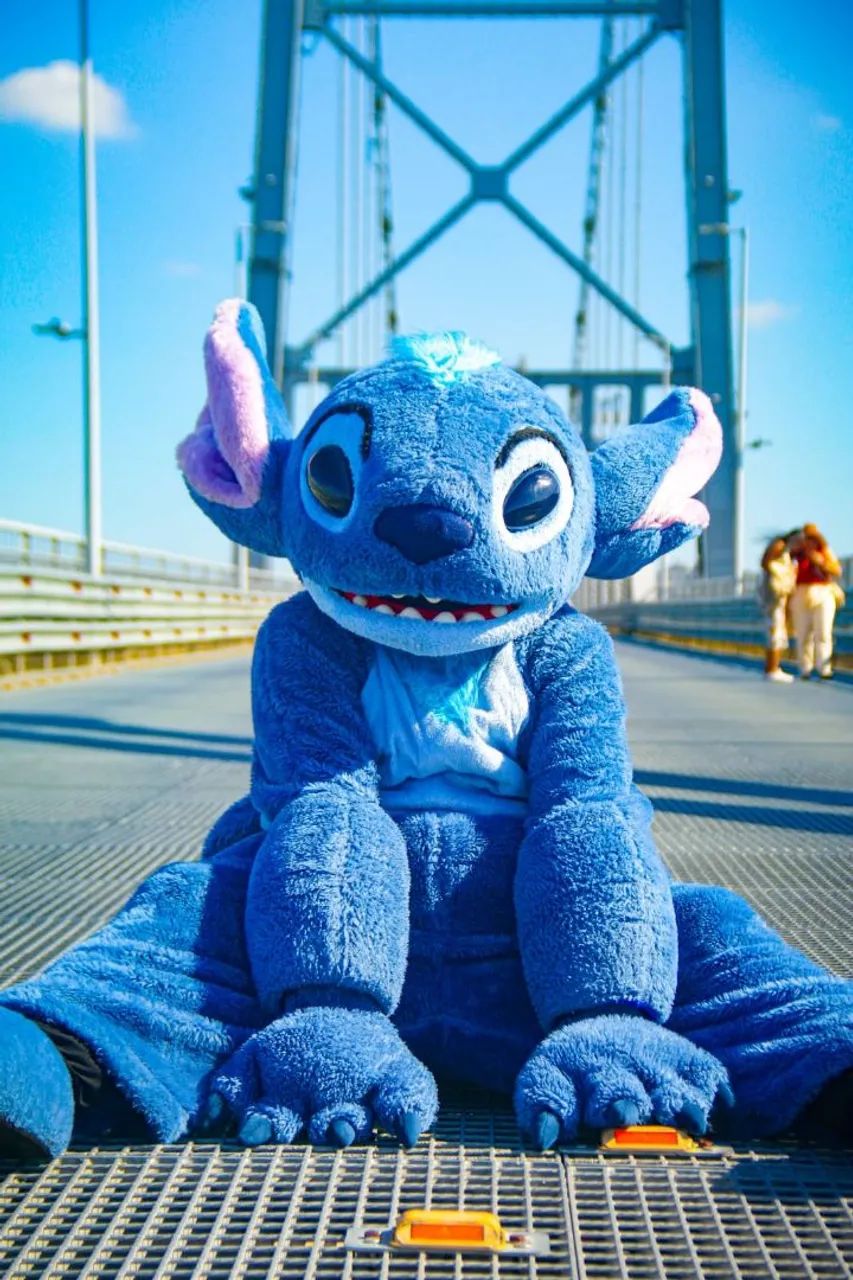 Stitch na sua festa