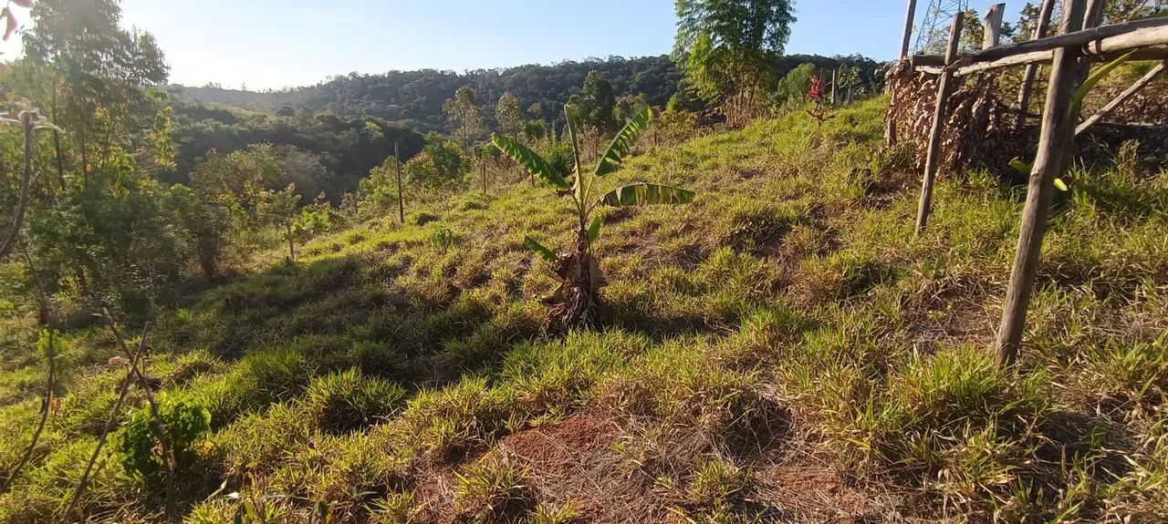 Terreno para chácara 1500 m2 - Foto 2