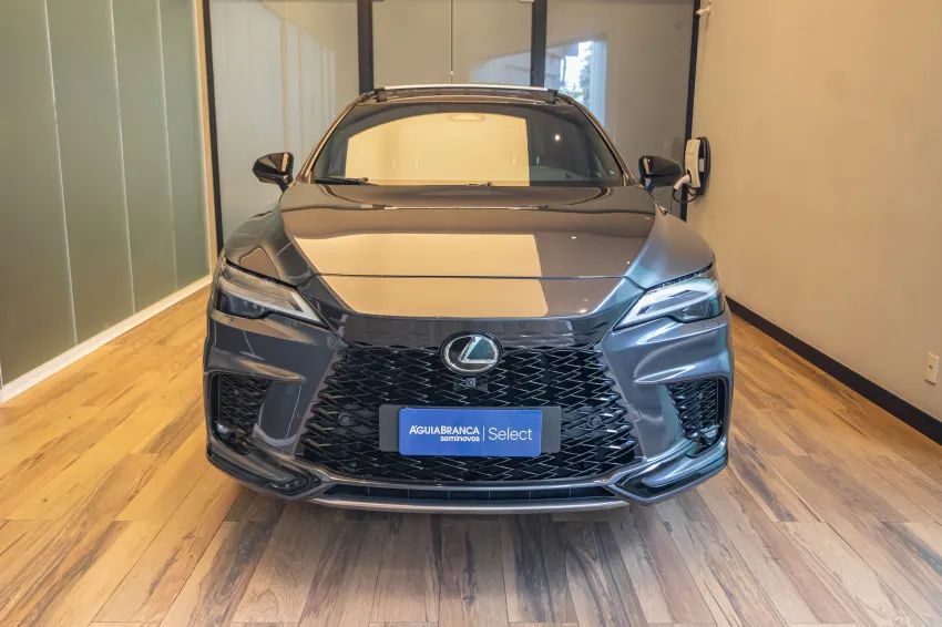 Lexus RX-500h F-sport 2.4 16V Aut. (híbrido), foto 3 de 19