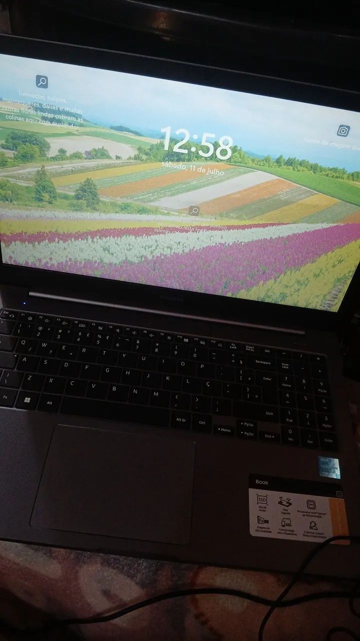 Vende  - Foto 2
