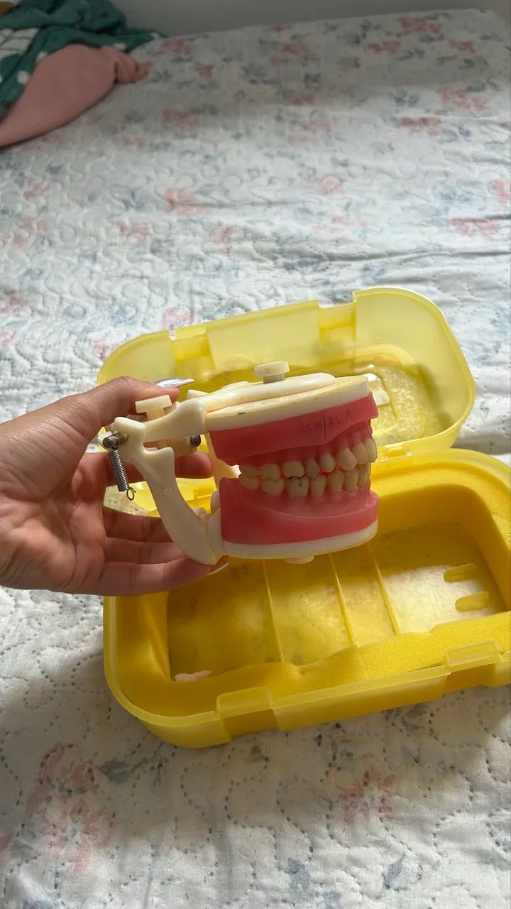 Manequim odontológico - Foto 2
