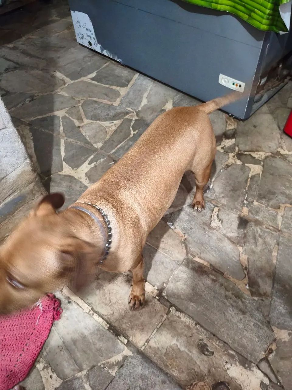 Doação  - Foto 3