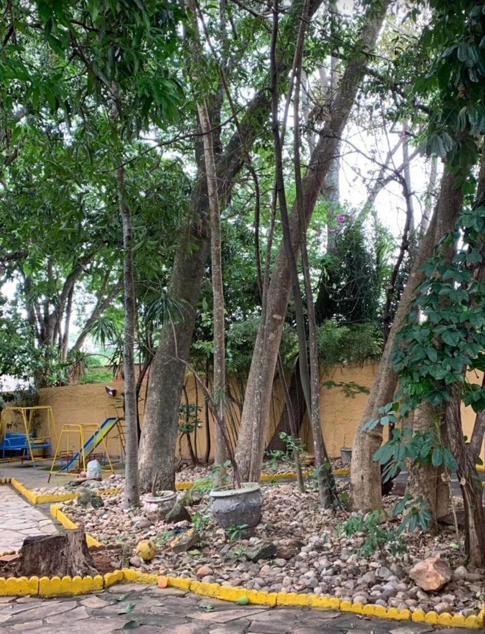 Aluga-se para o MOTO GP  - Foto 6